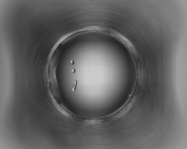 X0000113210808200909101131