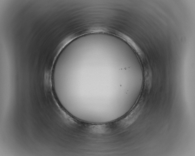 X0000113210810200909101131