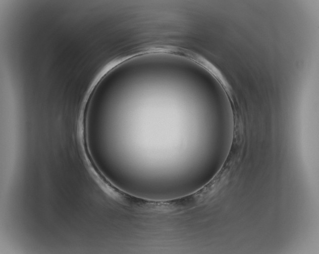 X0000113210811200909101131