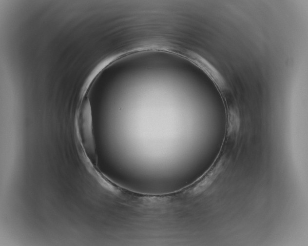 X0000113210812200909101131