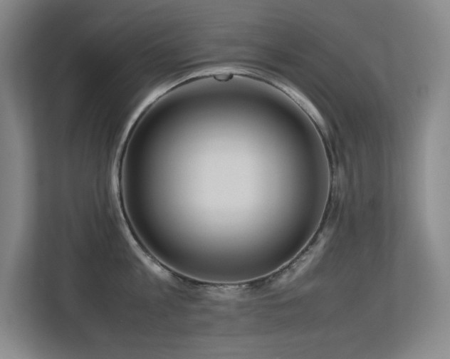 X0000113210813200909101131