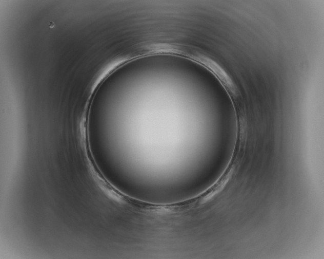 X0000113210814200909101131