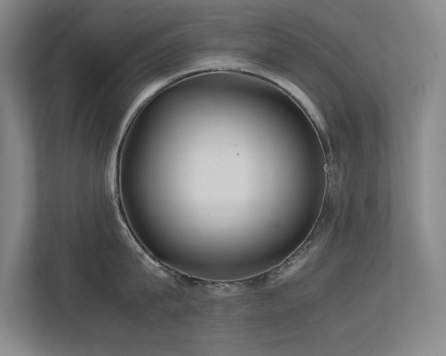 X0000113210815200909101131