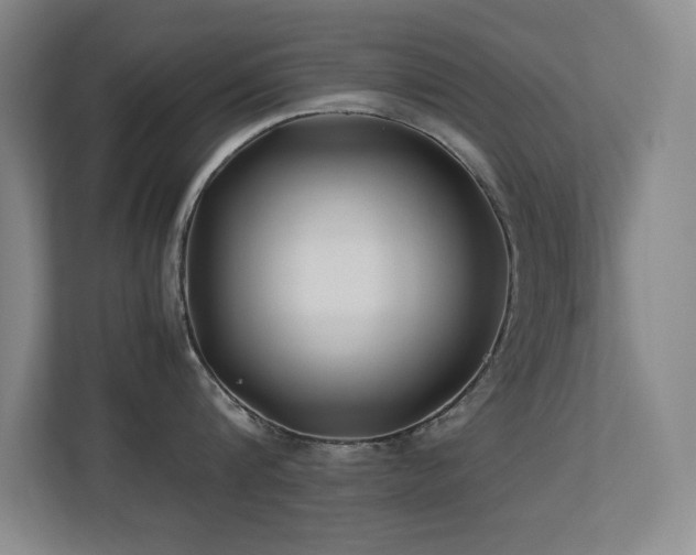 X0000113210816200909101131