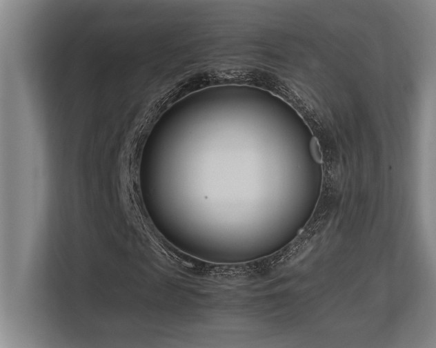 X0000113210817200909101130