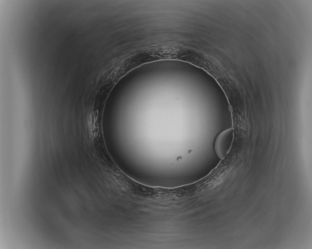 X0000113210818200909101130