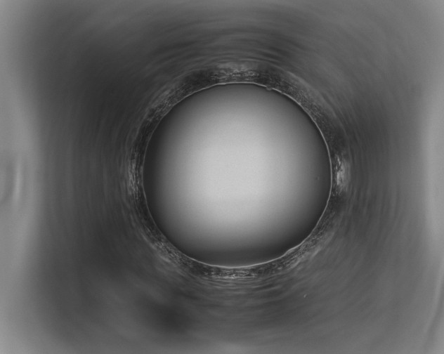 X0000113210819200909101130
