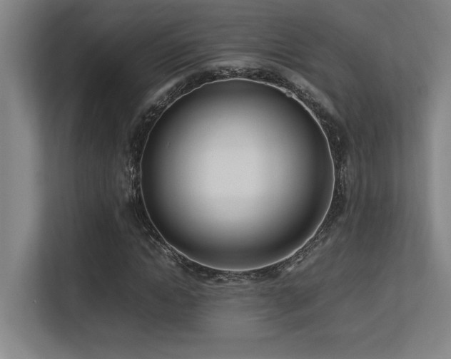 X0000113210822200909101130