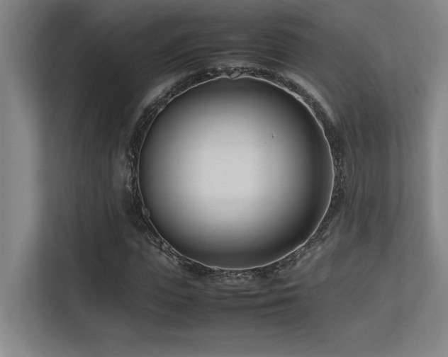 X0000113210823200909101130