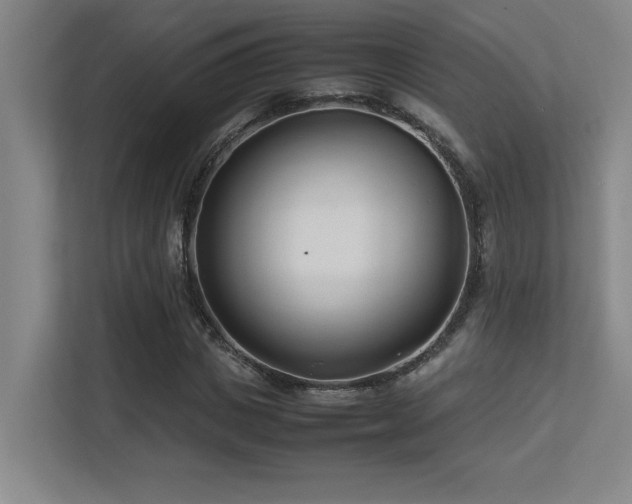 X0000113210825200909101130
