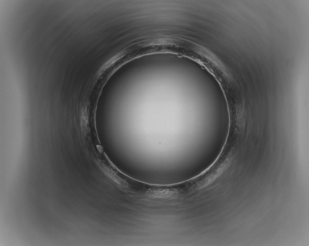 X0000113210826200909101130
