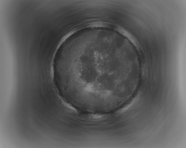 X0000113210829200909101130