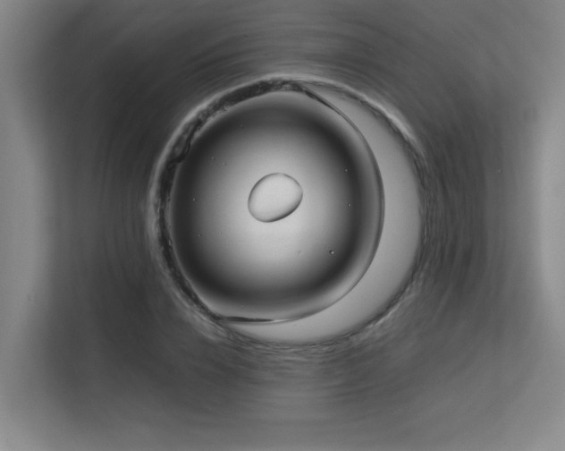 X0000113210832200909101130