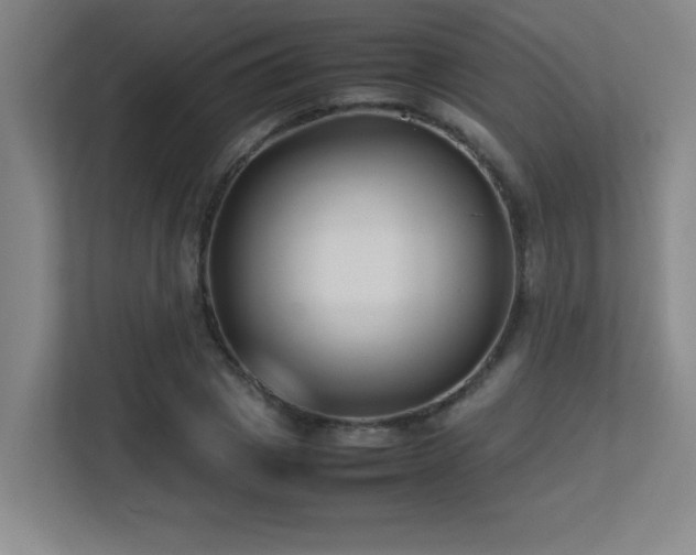 X0000113210833200909101130