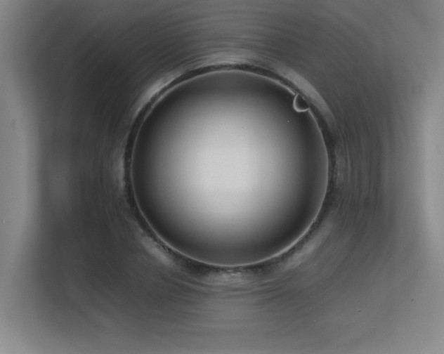 X0000113210834200909101130