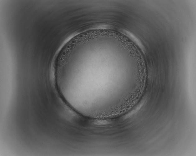 X0000113210835200909101130