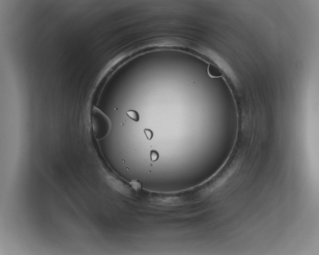 X0000113210837200909101130