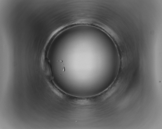 X0000113210838200909101130