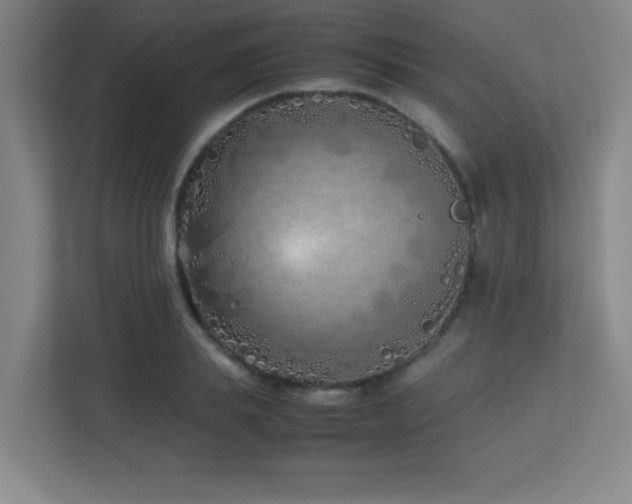 X0000113210839200909101130
