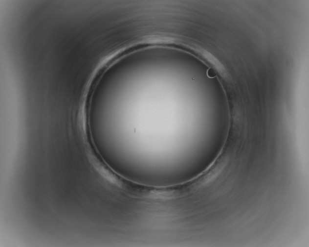 X0000113210840200909101130