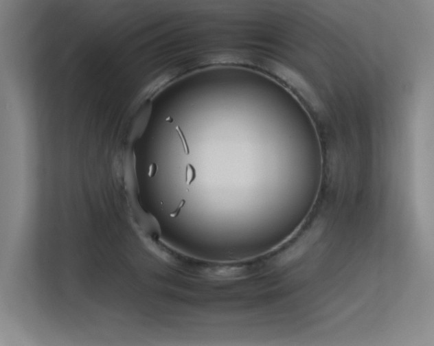 X0000113210841200909101130
