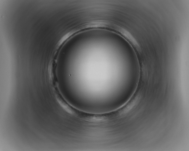 X0000113210842200909101130