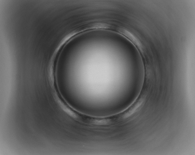 X0000113210843200909101130