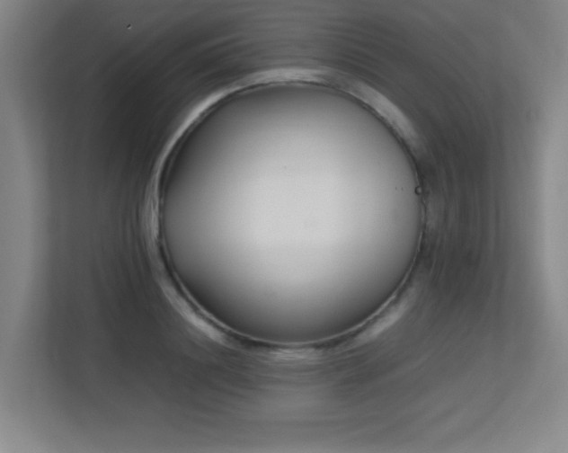 X0000113210844200909101130