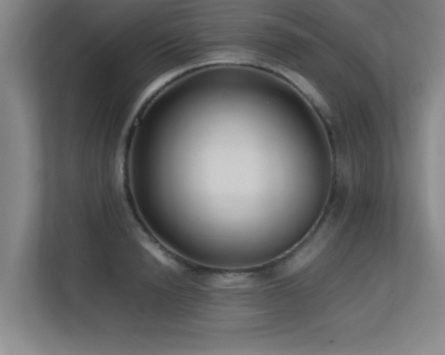 X0000113210846200909101130