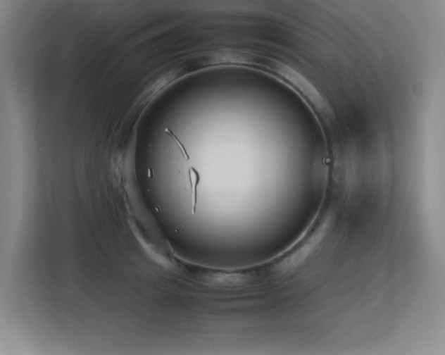 X0000113210849200909101130
