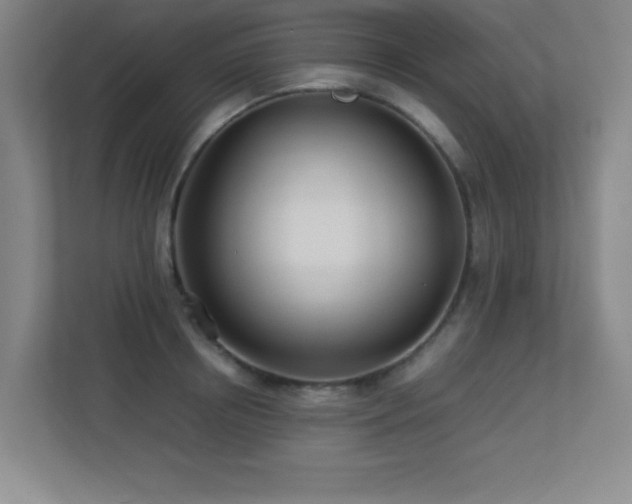 X0000113210850200909101130