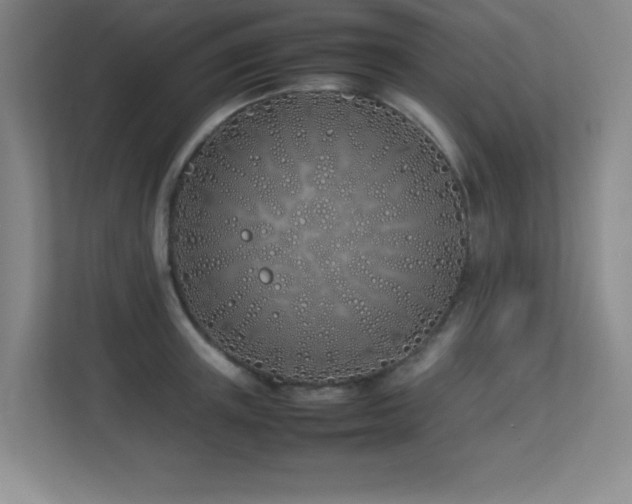 X0000113210851200909101130