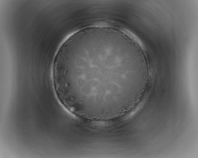 X0000113210855200909101131