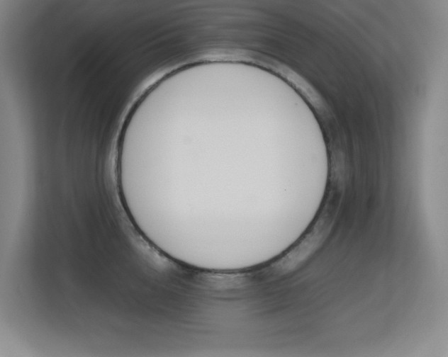 X0000113210856200909101131