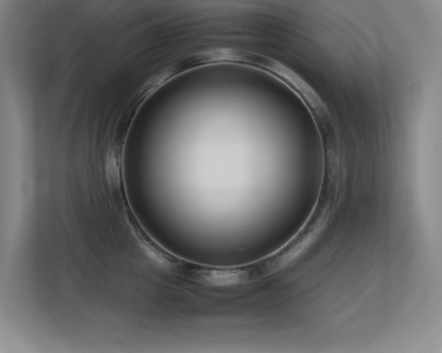 X0000113210857200909101131