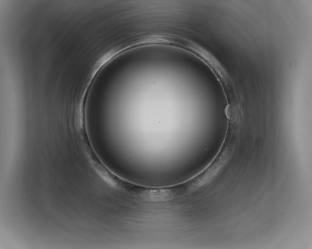 X0000113210858200909101131