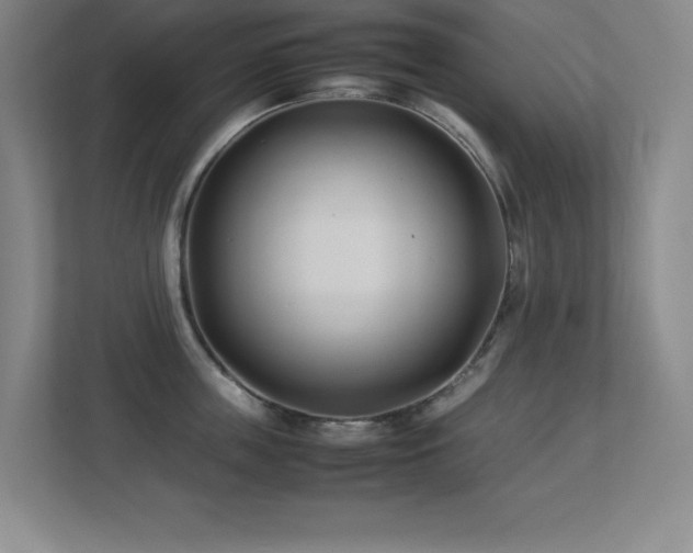 X0000113210859200909101131