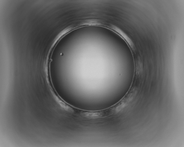 X0000113210861200909101131