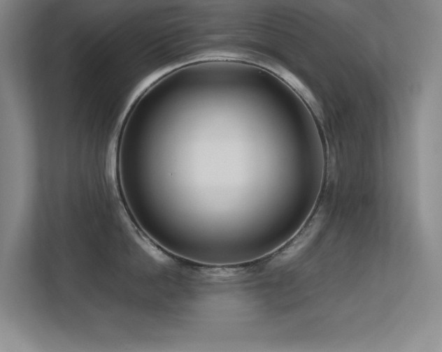 X0000113210862200909101131