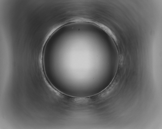 X0000113210863200909101131