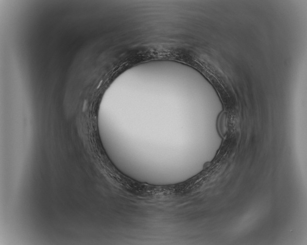 X0000113210865200909101130