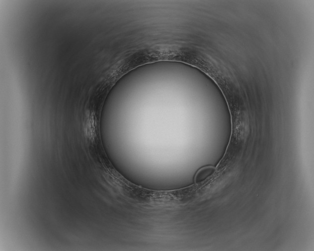 X0000113210866200909101130