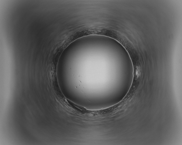 X0000113210867200909101130