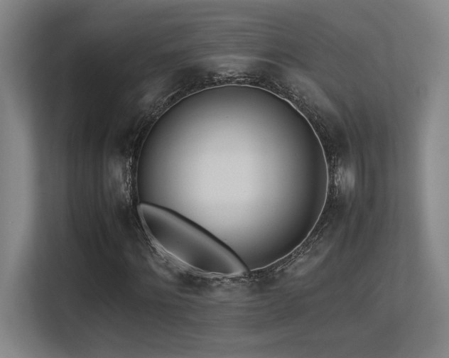 X0000113210868200909101130