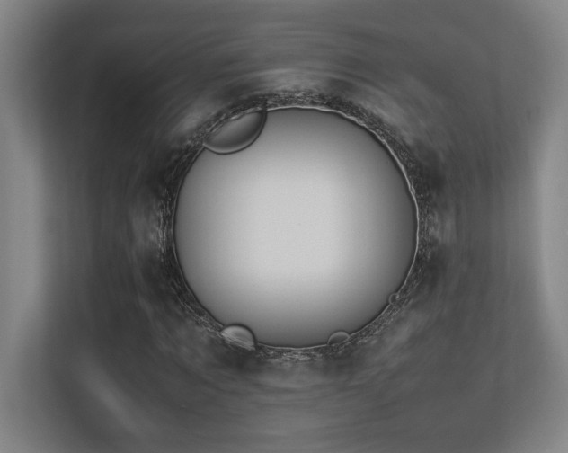 X0000113210869200909101130