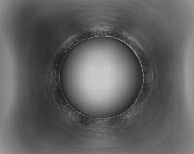 X0000113210870200909101130