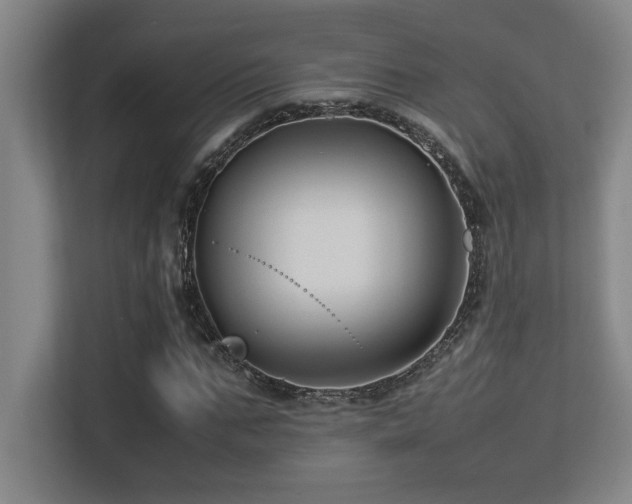 X0000113210871200909101130