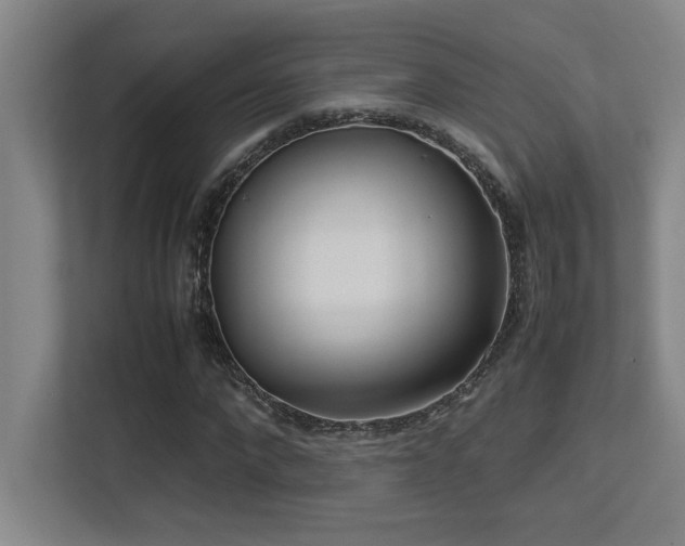 X0000113210872200909101130