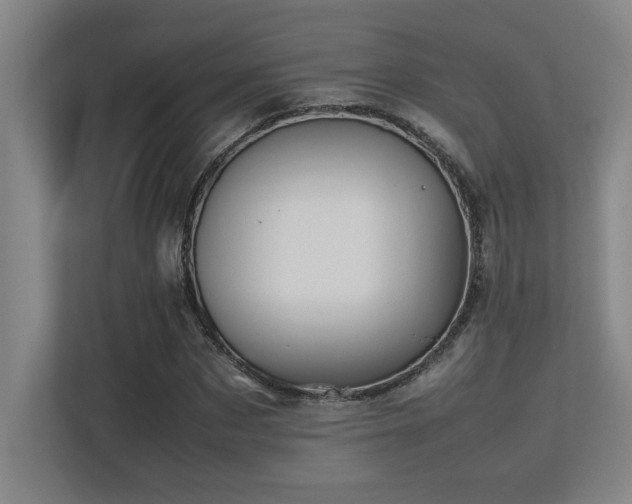 X0000113210873200909101130
