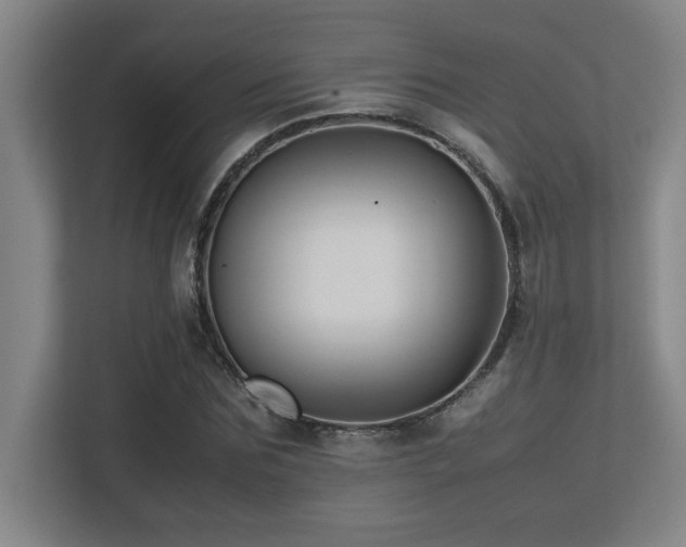 X0000113210875200909101130